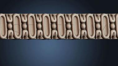 3D модель BAGET_1402 (STL)