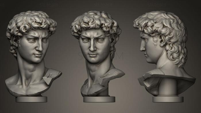 Бюсты и головы античные и исторические Микеланджело Давид