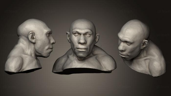 Бюсты и головы античные и исторические Человек неандертальский