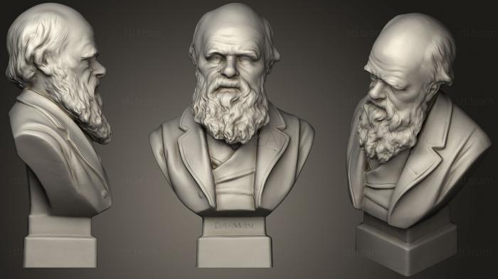 3D модель Бюст Чарльза Дарвина С.1899 (STL)