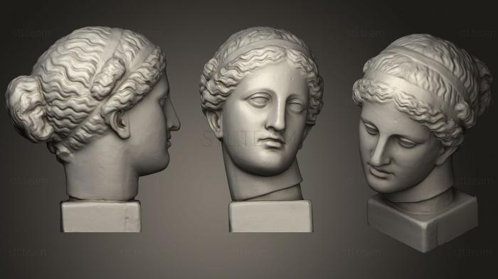 3D модель Голова Венеры Арльской (STL)