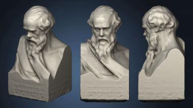 3D модель Бюст Сократа (STL)