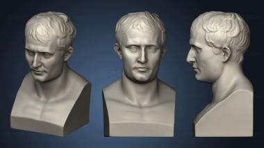 3D модель Бюст Наполеона (STL)