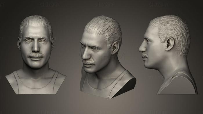 3D модель Голова скульптуры Фредди Меркьюри (STL)