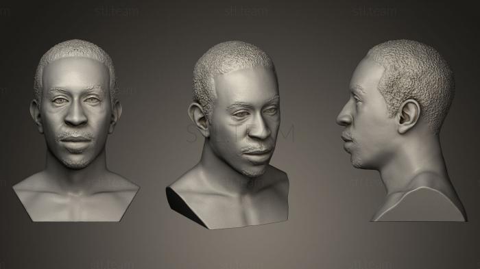 Бюсты и барельефы известных личностей Бюст Лудакриса для 3D-печати
