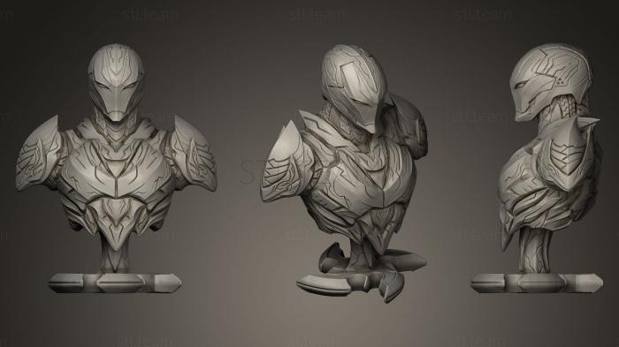 3D модель The Dark Armor (STL)