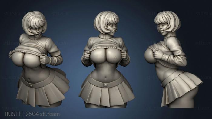 3D модель Обладательница Бюста Velma (STL)