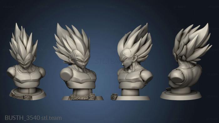 3D модель Логотип Vegeta Sek (STL)