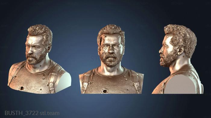 Бюсты монстры и герои Арни Темная Судьба