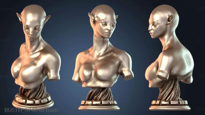 Бюсты монстры и герои Декоративный бюст аватара