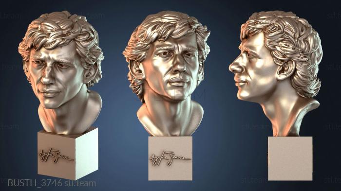 Бюсты монстры и герои Бюст Айртона Сенны и Фабрисио