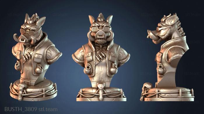 Бюсты монстры и герои Бюст Бируса