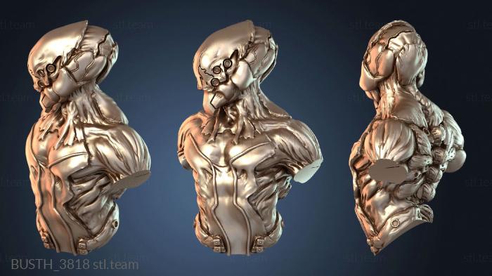 Бюсты монстры и герои Бизон Стрит Файтер