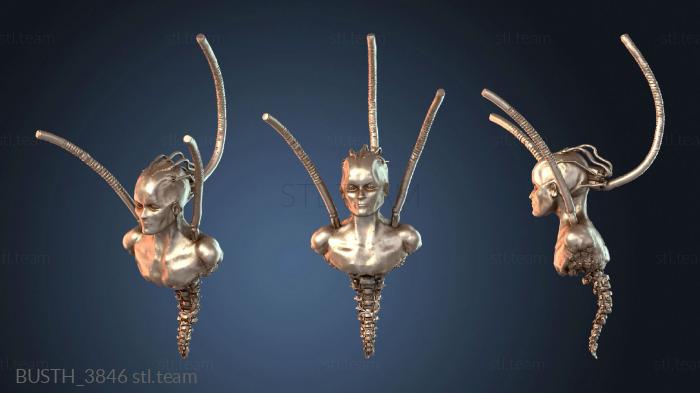 Бюсты монстры и герои Королева Боргов