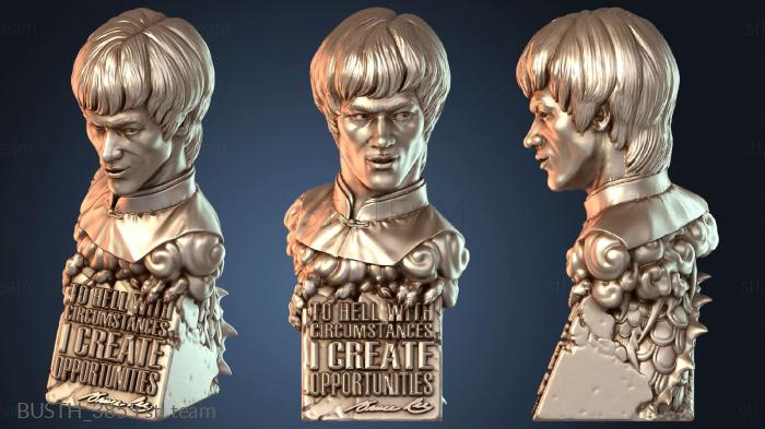 Бюсты монстры и герои Брюс Ли