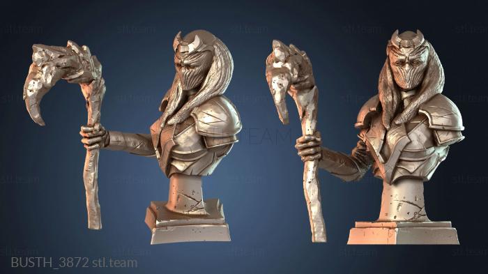 Бюсты монстры и герои Бюст Древней Жрицы