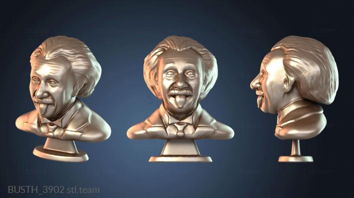 Бюсты монстры и герои Бюст Эйнштейна