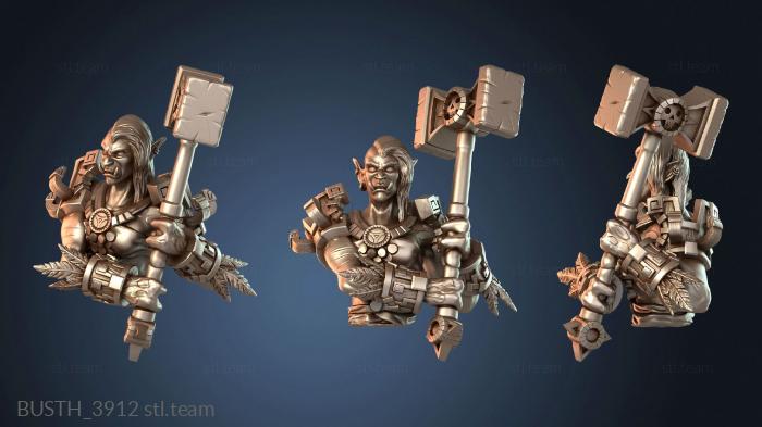 Бюсты монстры и герои Бюст женщины-паладина Занд