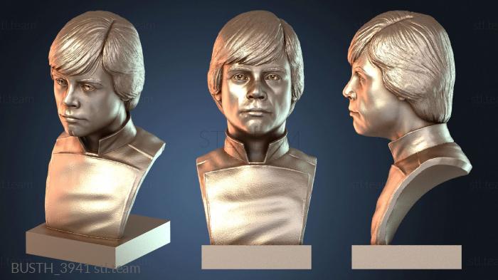 Бюст Люка Звездные Войны