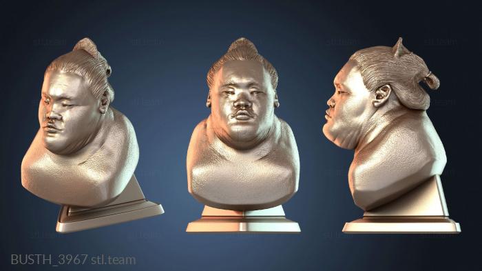 Бюсты монстры и герои Бюст Сумо