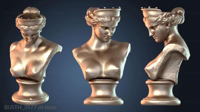 Бюсты монстры и герои Bust venus capua Nachin