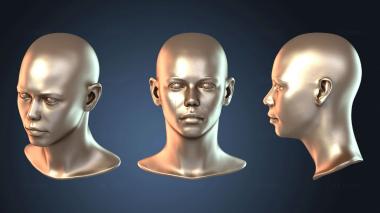 3D модель Решительная женщина (STL)