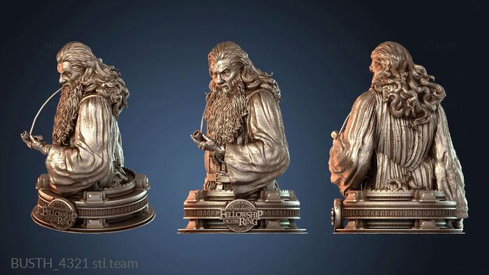 Бюсты монстры и герои Бюст Гэндальфа