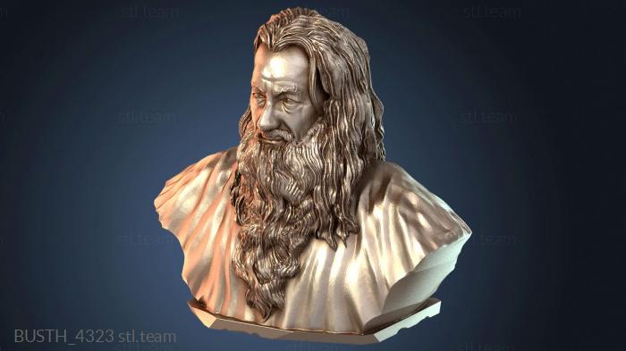 Бюсты монстры и герои Бюст Гэндальфа