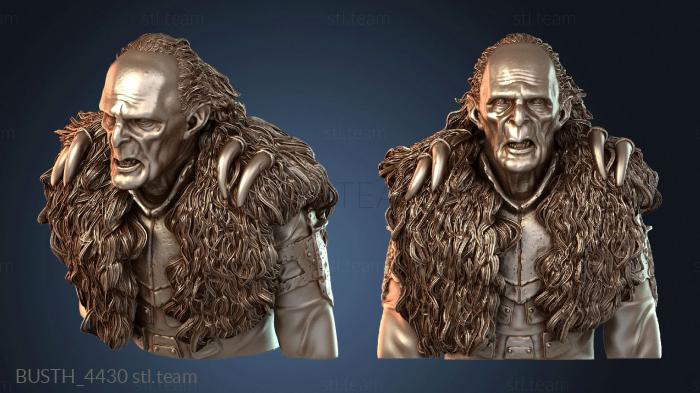 Бюст Гришнаха