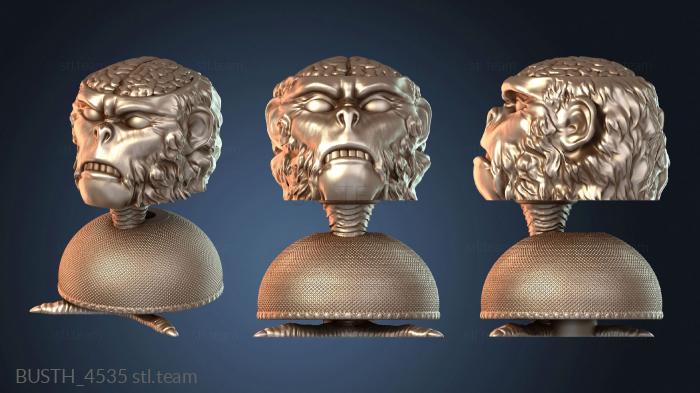 Бюсты монстры и герои Кубок обезьяны Индианы Джонса