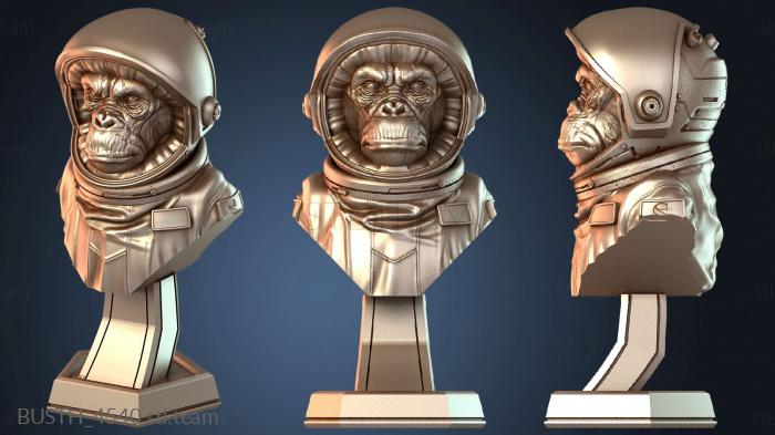 Бюсты монстры и герои Межгалактический обезьяний экипаж