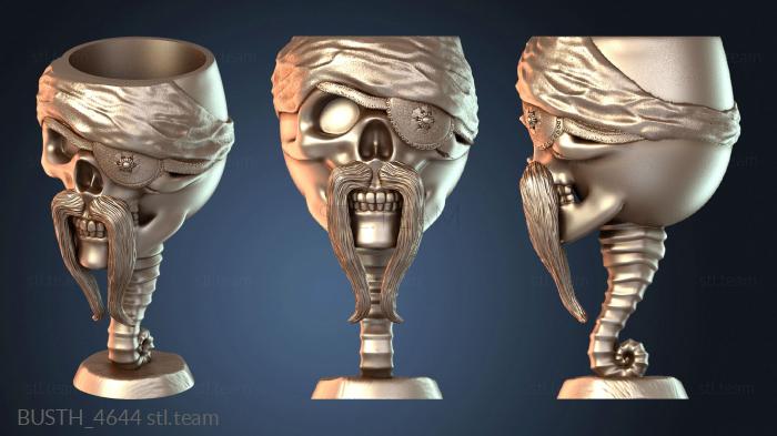 Бюсты монстры и герои Пират Короля Чаши