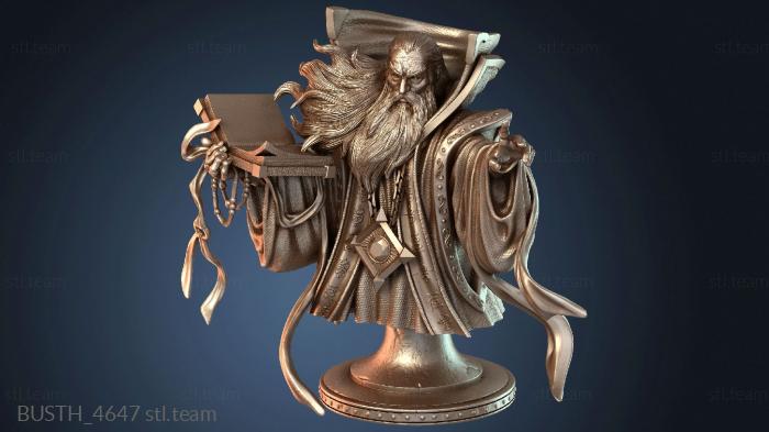 Бюсты монстры и герои Бюст короля крепости ЗАХИР