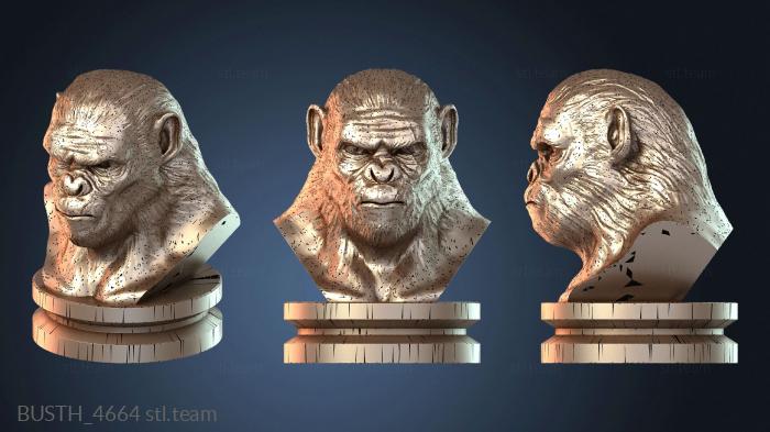 Бюсты монстры и герои Коба Обезьяна