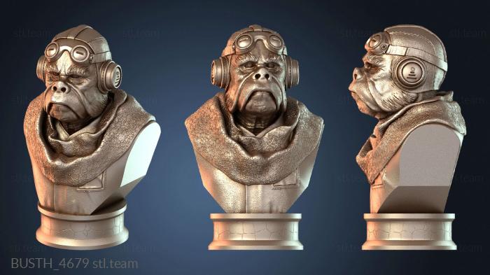 Бюсты монстры и герои Бюст Куиила