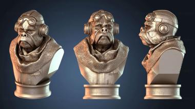 3D модель Бюст Куиила (STL)