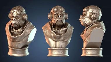 3D модель Подробный бюст Куила (STL)