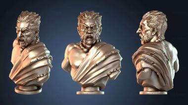 3D модель Мужской бюст кельтского варвара (STL)