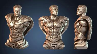 3D модель Man Bust Taregh Saber Tsaber (STL)