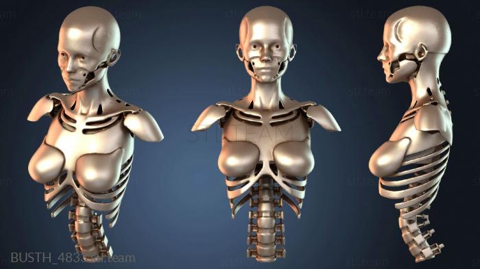 Бюсты монстры и герои Машиненфрау