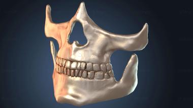 3D модель Маска Death Stranding (STL)