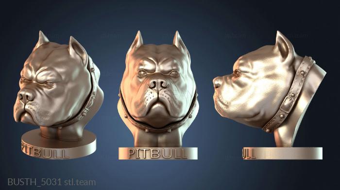 Бюсты монстры и герои Питбуль кабека