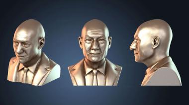 3D модель Профессор Бюст Люди Икс (STL)