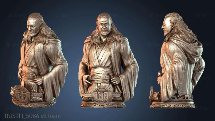 Бюсты монстры и герои Бюст Квин Гон Джинна из Звездных Войн