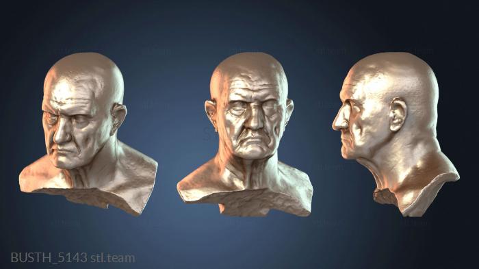 Бюсты монстры и герои Бюст римского мраморного человека