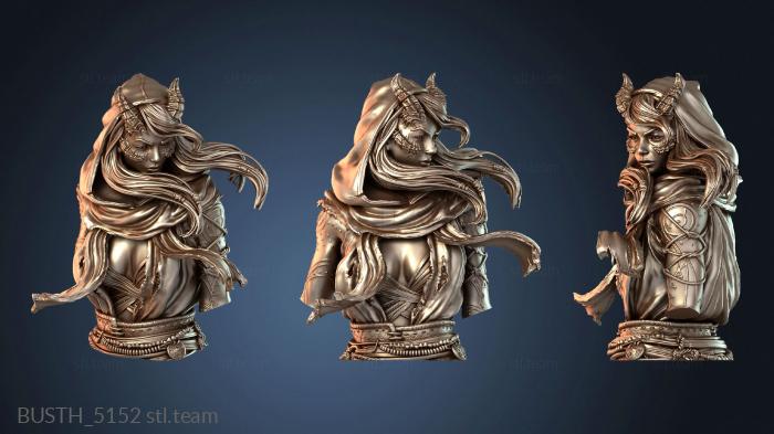 Бюсты монстры и герои Стилизованный бюст Ровены