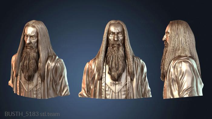 Бюсты монстры и герои Саруман