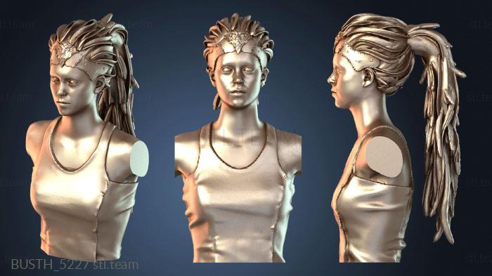 Бюсты монстры и герои Сенуа адский клинок