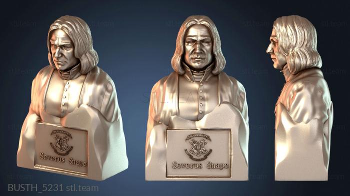 Бюсты монстры и герои Бюст Северуса Снейпа Гарри Поттер