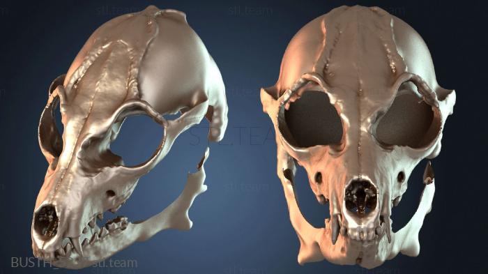 Бюсты монстры и герои Челюсть Шаманской Маски